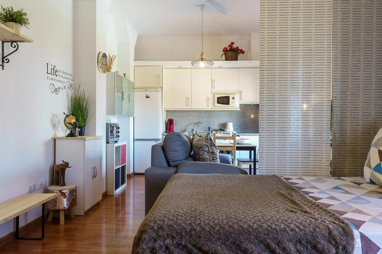 Malagasuite Old Town Apartment Spain